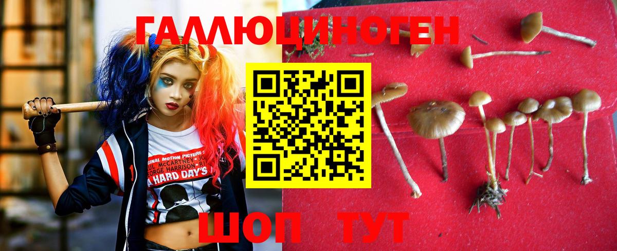 Псилоцибиновые грибы Psilocybine cubensis Ханты-Мансийск